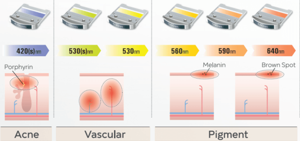 ultracel-q-core-technology